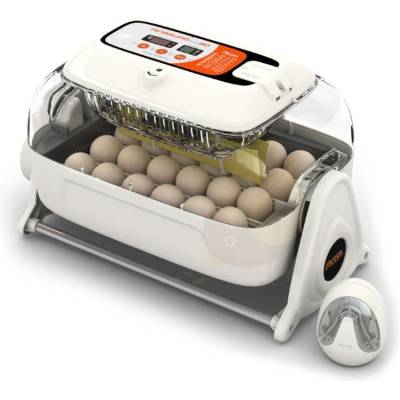 Rcom King Suro Max 20 Incubadora (Automática)