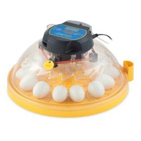 Maxi II EX incubadora digital, con volteo automático y control de humedad automática integrada de Brinsea